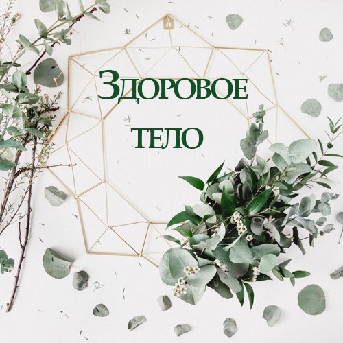 Здоровое тело